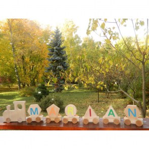 tren din lemn personalizat cu numele copilului 6 litere